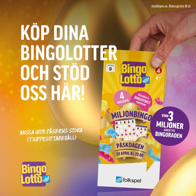 Bingolotto